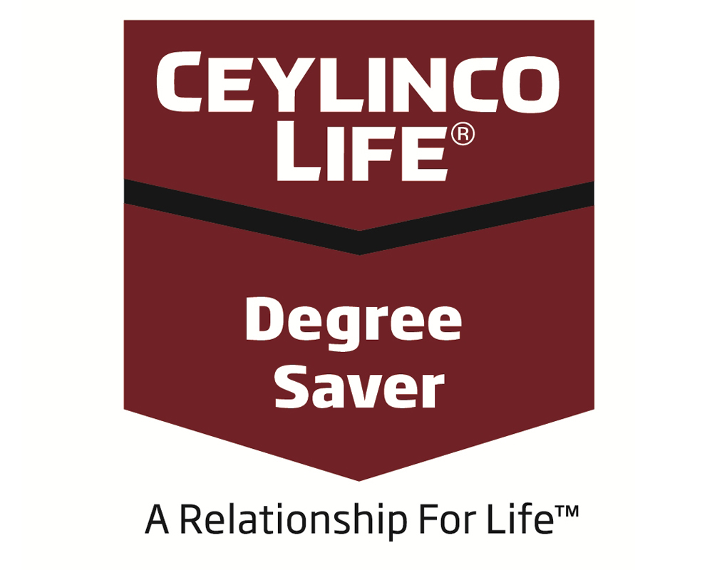 Degree-Saver-logo