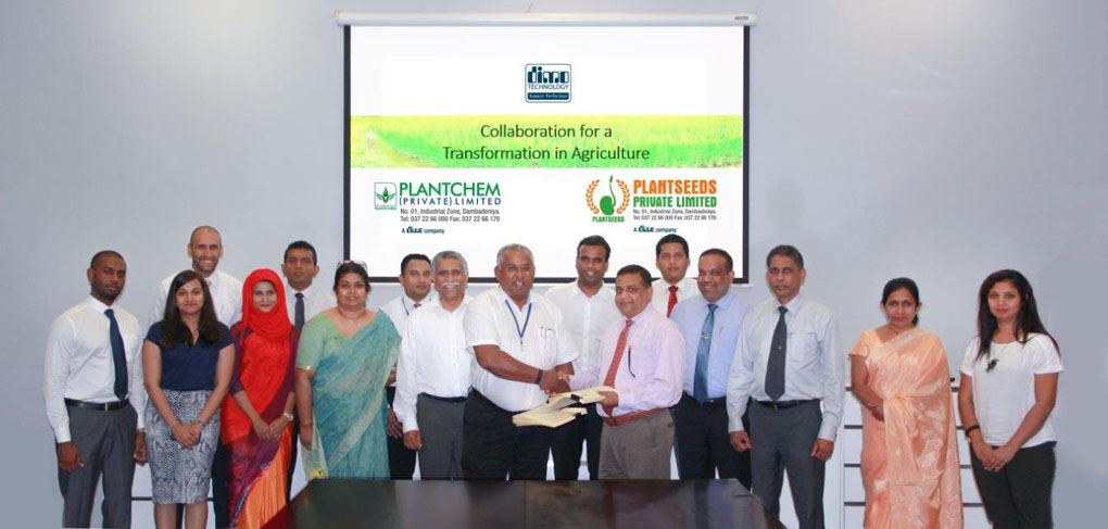 DIMO Agribusinesses partners with Plantchem and Plantseeds