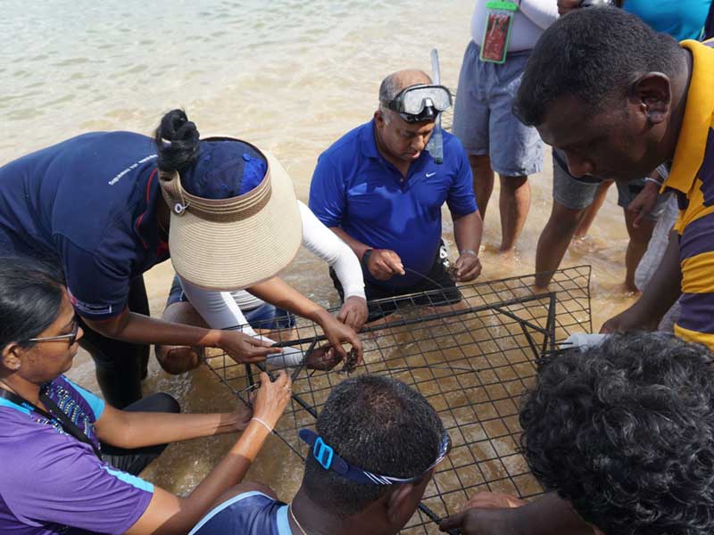 Life-to-Reef-Project-Restores-Corals