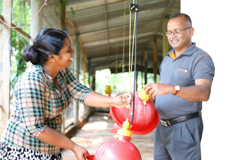 Crysbro-outgrower-links-grant-poultry-farmers-greater-benefit-reduced-risk