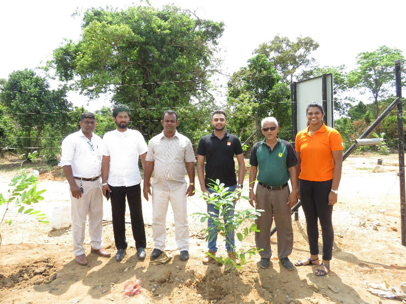 EFL-to-complete-planting-14,000-trees-in-2019