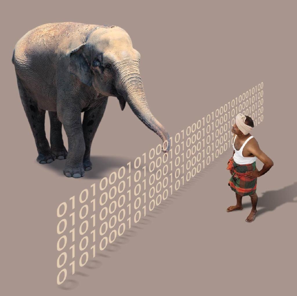 Elephant-Decoder-1.jpg