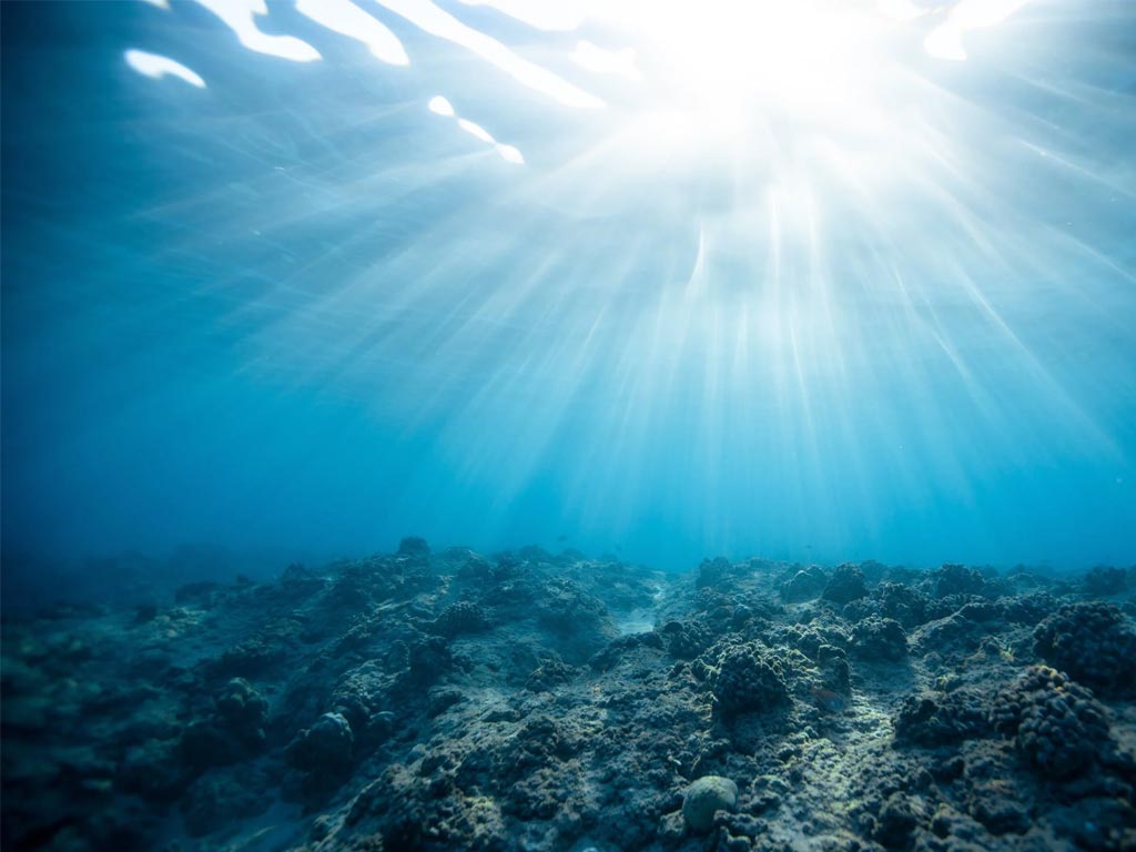 artificial-reef