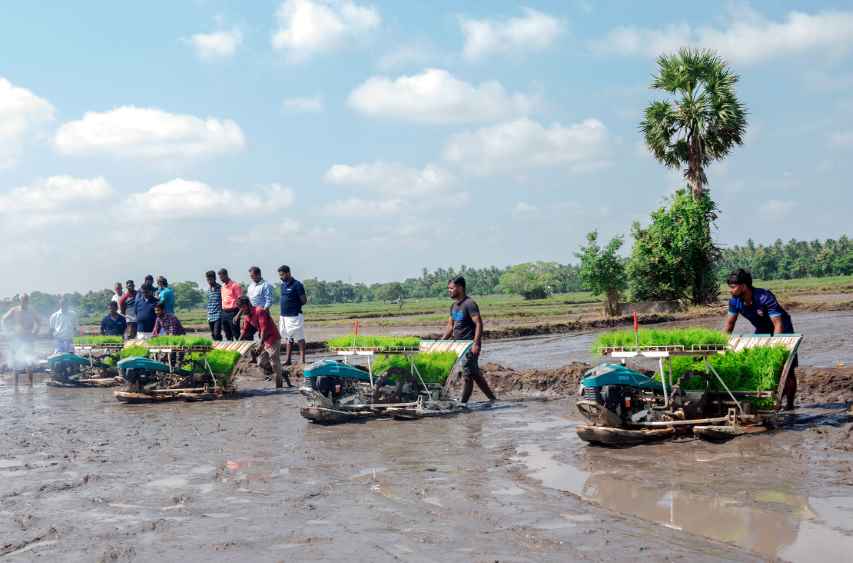 Agri Modernisation Village programme (LBN)