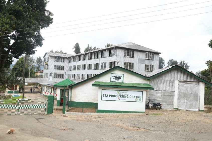 El Teb Tea Processing Center (LBN)