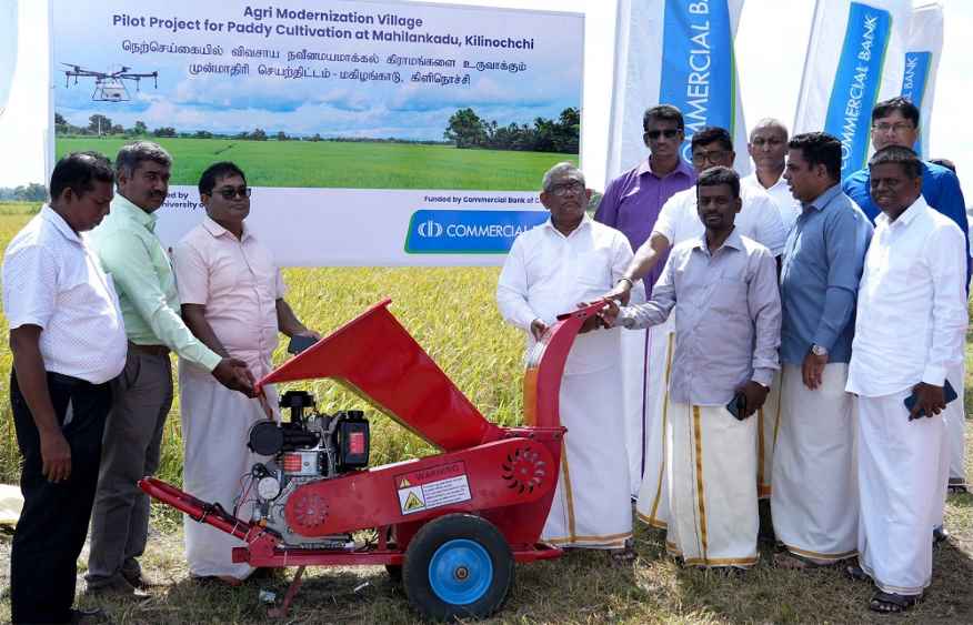 Harvest ceremony at Mahilankadu (LBN)