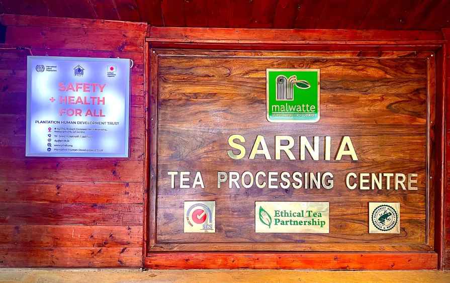 Sarnia Tea Processing Center (LBN)